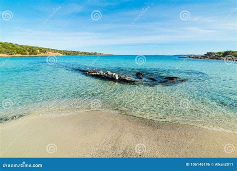 Spiaggia Del Relitto Em Caprera Foto De Stock Imagem De Paisagem
