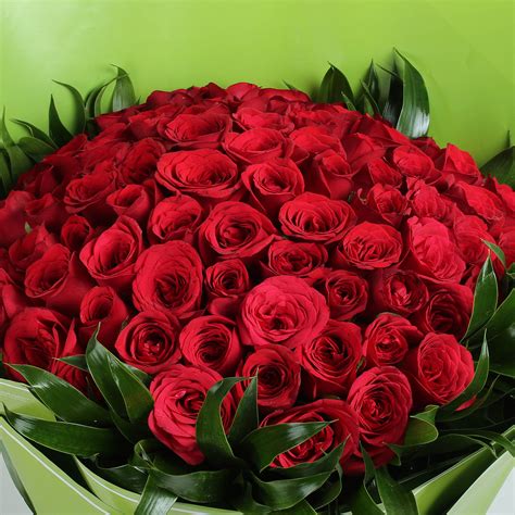 Buysend 75 Beautiful Red Roses Bunch Online Ferns N Petals