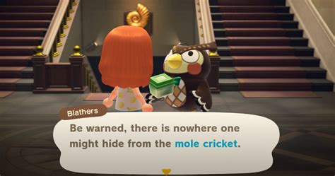 Man i love not being able to play labs because all the hackers. How to Catch a Mole Cricket in Animal Crossing New Horizons