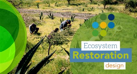 Ecosystem Restoration Design Programmes