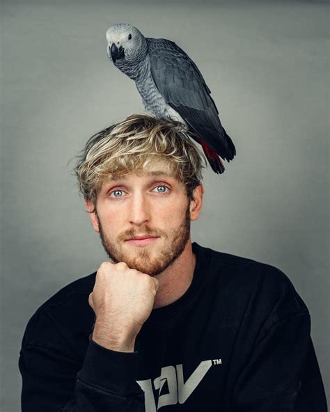 Logan Paul Wiki En Kuantan Anirasota