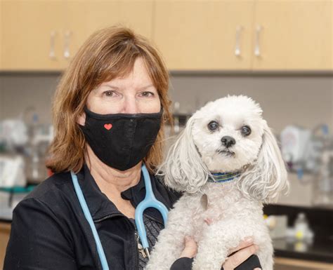 Client Forms Chesapeake Veterinary Surgical Specialists