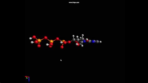 Molécula De Atp Youtube