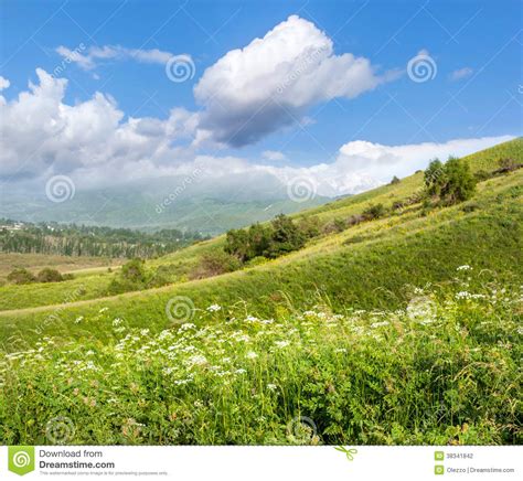 Bright Beautiful Summer Landscape With Blue Sky In A Green