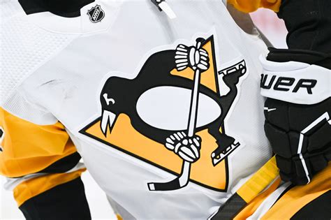 Penguins Mandate Neck And Wrist Guards In Wheeling Wilkes Barre