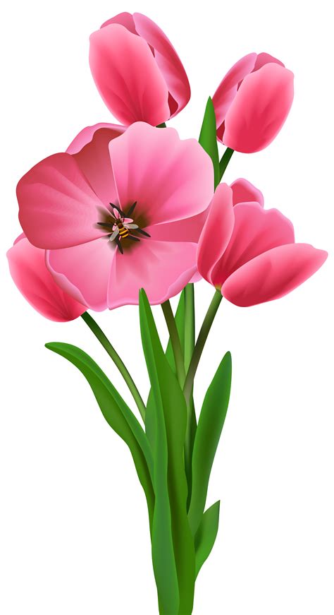 Wish Morning Youtube Good Drawing Spring Flowers Png Download 3942