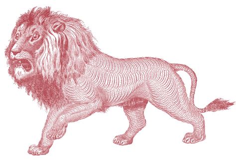 Free Antique Clip Art Pen Flourished Lion The Graphics
