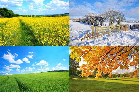 Download 4 Seasons Collection — Stock Image Stock Photos Stock