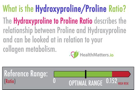 What Is The Hydroxyprolineproline Ratio High And Low Values Lab