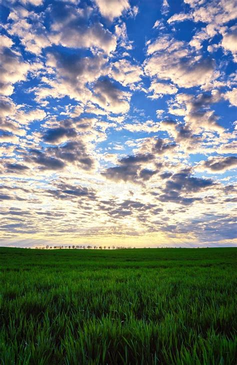 Blue Sky With White Clouds And Sun Rays Shining On The Green Field With