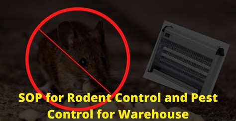 Sop For Rodent Control And Pest Control For Warehouse Tech Publish