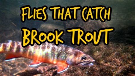 The Best Flies For Brook Trout And How To Fish Them Guide Recommended