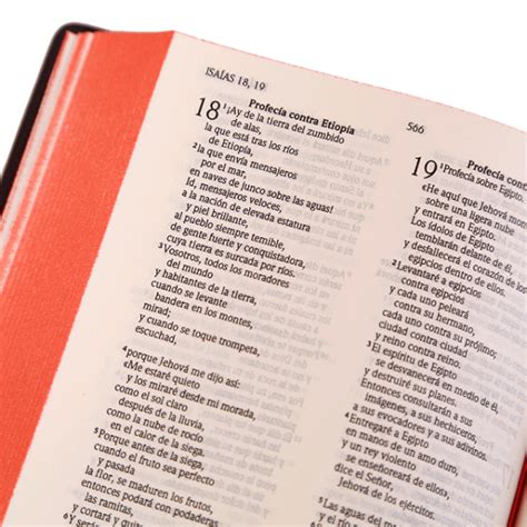 Spanish Bible Rvr9542c دار الكتاب المقدس