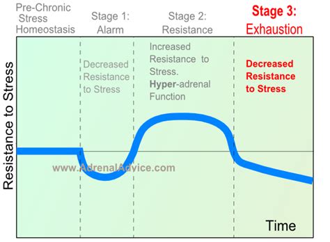 Are You In Stages 3 Adrenal Fatigue