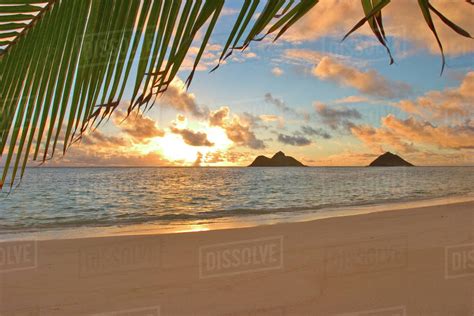 Hawaii Oahu Sunrise Over Mokulua Islands Golden Light Dramatic Sky