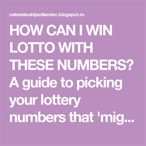 how can i win lotto with these numbers a guide to picking your lottery numbers that might