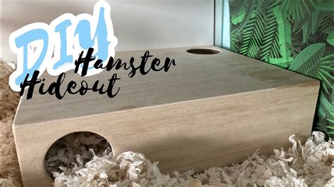 Diy Hamster Multi Chamber Hideout Youtube