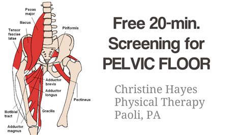 Pelvic Floor Pain Get Treatment Now Free Screening