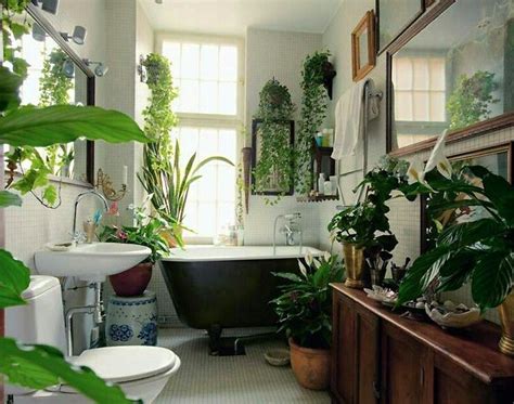 Le piante pendenti da interno sono molto decorative. Le piante per interni purificano davvero l'aria in casa ...