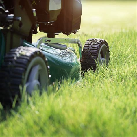 At most lawns need fertilizer. Is Trugreen Worth It? A National Company vs DIY vs Local Lawn Care | Green Lawn Fertilizing