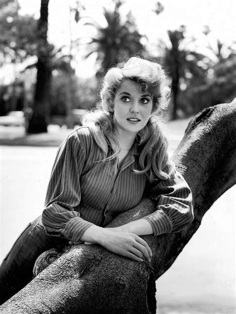 45 Beautiful Pics Of Donna Douglas In The 1950s And 60s ~ Vintage Everyday