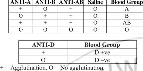 Interpretation Of Results Of Abo And Rh Blood Grouping Cell Grouping