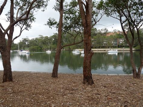 Burns Bay Lane Cove River A History Of Aboriginal Sydney
