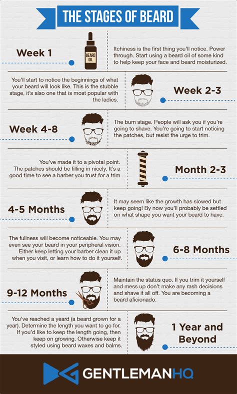 Stages Of Beard