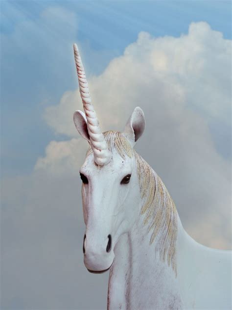 Some descriptions are symbolic and are simply meant to represent certain nations, people, or ideas in prophetic visions. Unicorns Mentioned In The Bible - 🦄 CuteUnicorn.Club