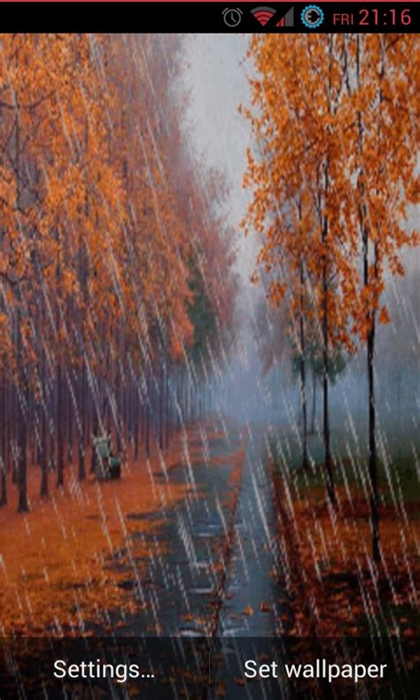 Free Autumn Rain Live Wallpaper Apk Download For Android Getjar