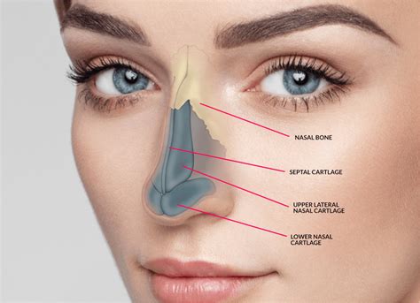 Anything Want To Know About Nose Operation Healing Clinic Turkey