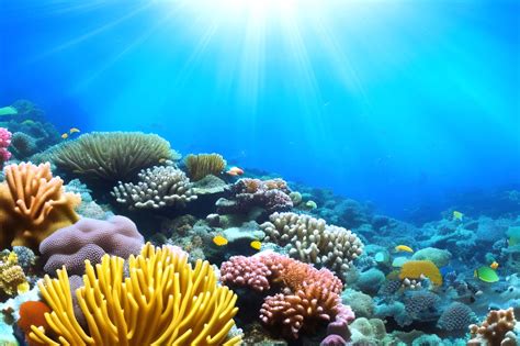 Underwater Scene Stock Photos Images And Backgrounds For Free Download