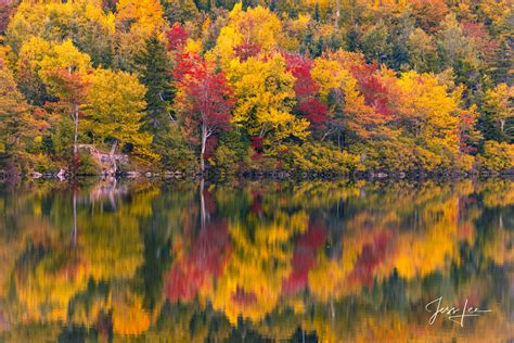 New England Autumn Tree Reflection New Hampshire Photos By Jess Lee