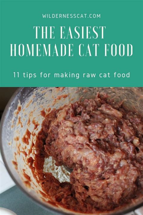 Felines have been eating raw food for thousands of years. How to Make Raw Cat Food: 11 Hacks to Make it Easy in 2020 ...