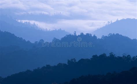 Tropical Mountain Range Stock Photo Image Of Misty Landscape 63288824
