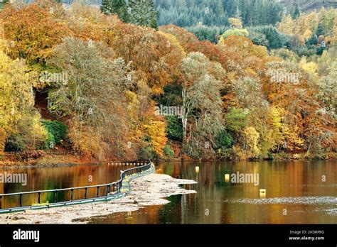 Pitlochry Perthshire Scotland Loch Faskally Leaves Caught On A Boom Or