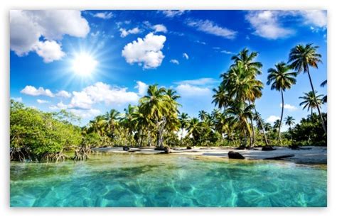 Tropics Palm Trees Sun Beach Ultra Hd Desktop Background