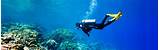 Pictures of Scuba Travel Insurance