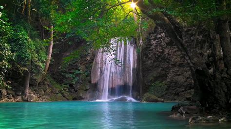 Dream Nicesecludedforestwaterfall Free Download