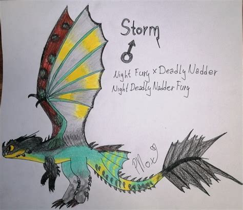 Storm Is Night Deadly Nadder Fury His Mother Is Deadly Nadder And His