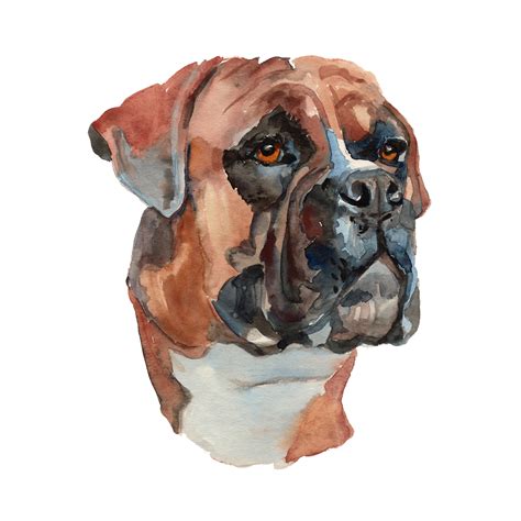 Download High Quality Dog Clipart Watercolor Transparent Png Images