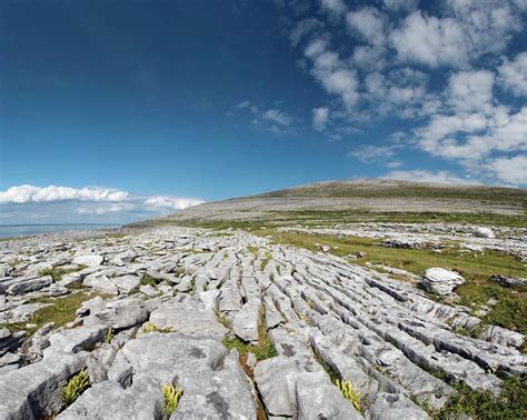 Burren Limestone Pavement Photograph By Sinclair Stammers