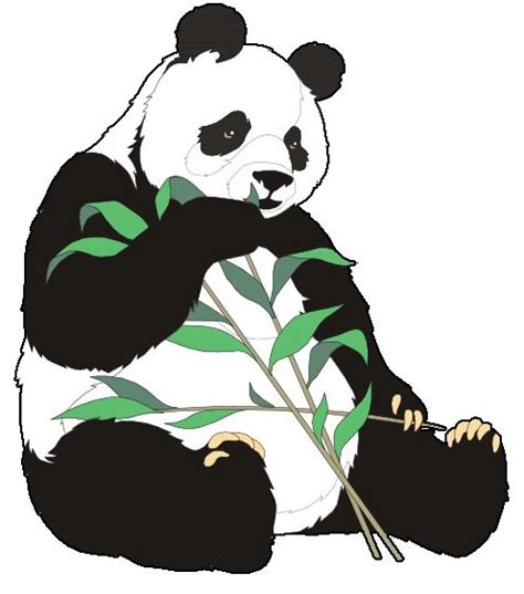 Pandaeatbamboopng 496×562 Panda Illustration Animal Clipart Art