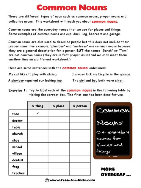 Answers To Common Nouns Exercises Pdf Linguistic Typology