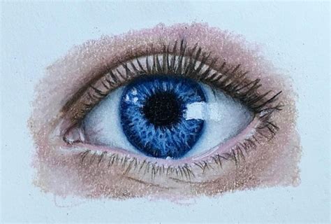 Blue Eye Original Colored Pencil Drawing Accesoriifrizeriero