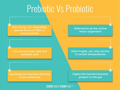 Prebiotic Vs Probiotic Whats The Difference Gp