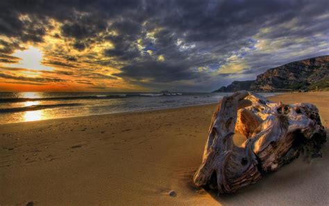 Hd Driftwood On A Beach At Sunset Hdr Wallpaper Download Free 67230