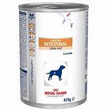 Royal Canin Gastro Intestinal Low Fat Canned Dog Food Images