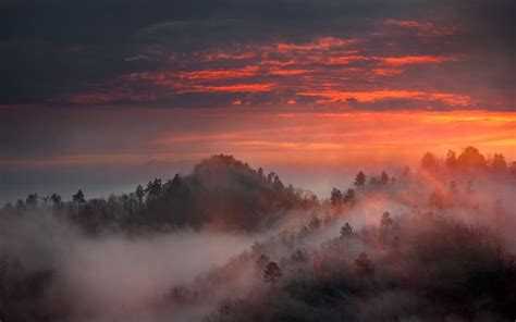 Free Download Hd Wallpaper Nature Landscape Mist Sunrise