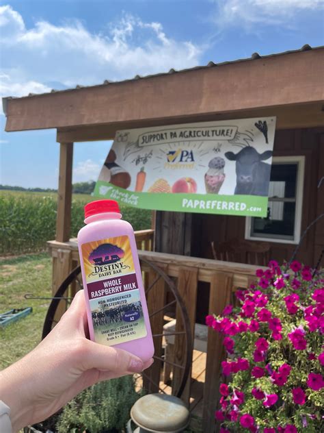 Destiny Dairy Bar: Making Milk Fun Again - Cumberland Area Economic